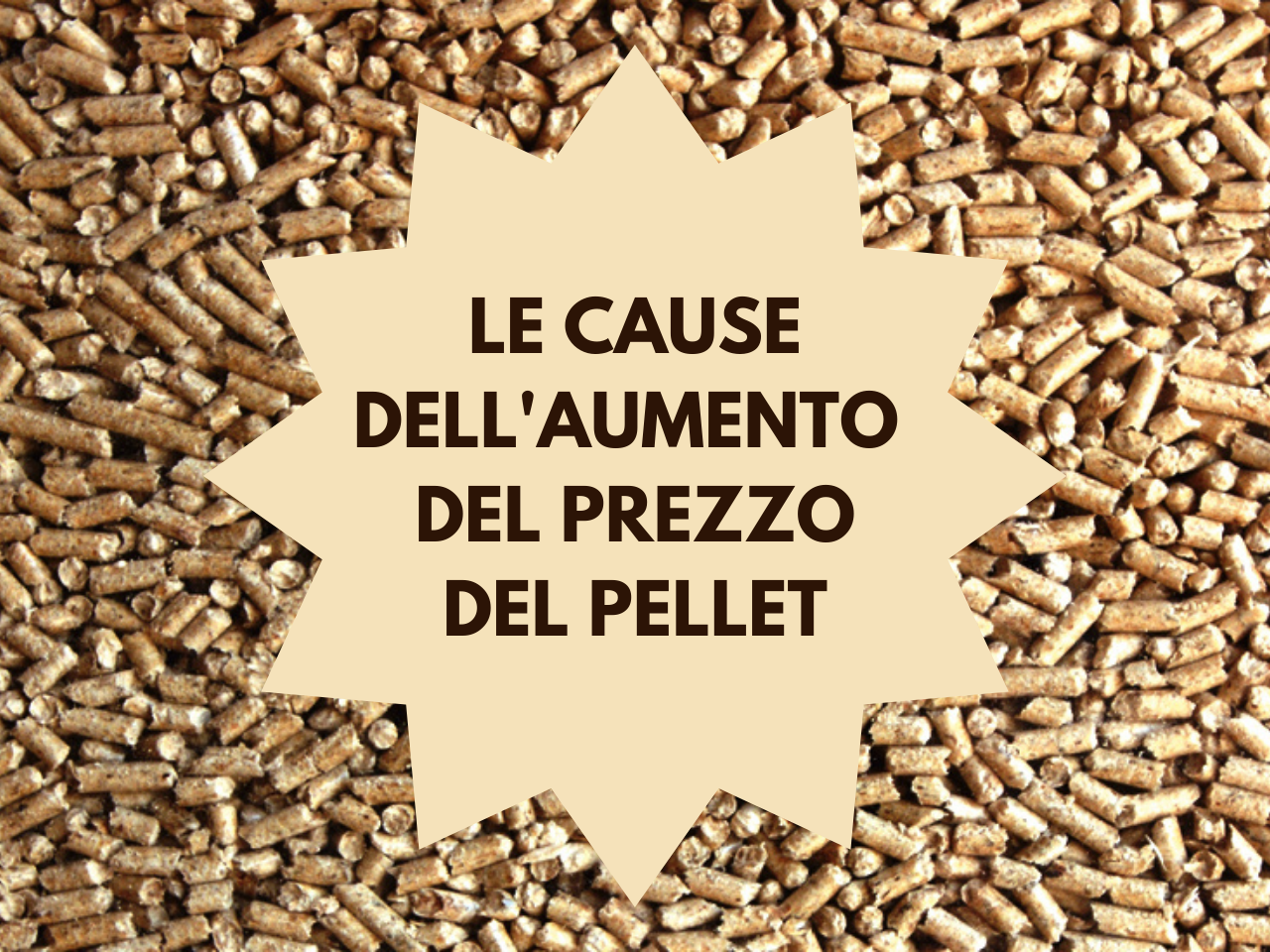 Le cause dell'aumento del prezzo del pellet