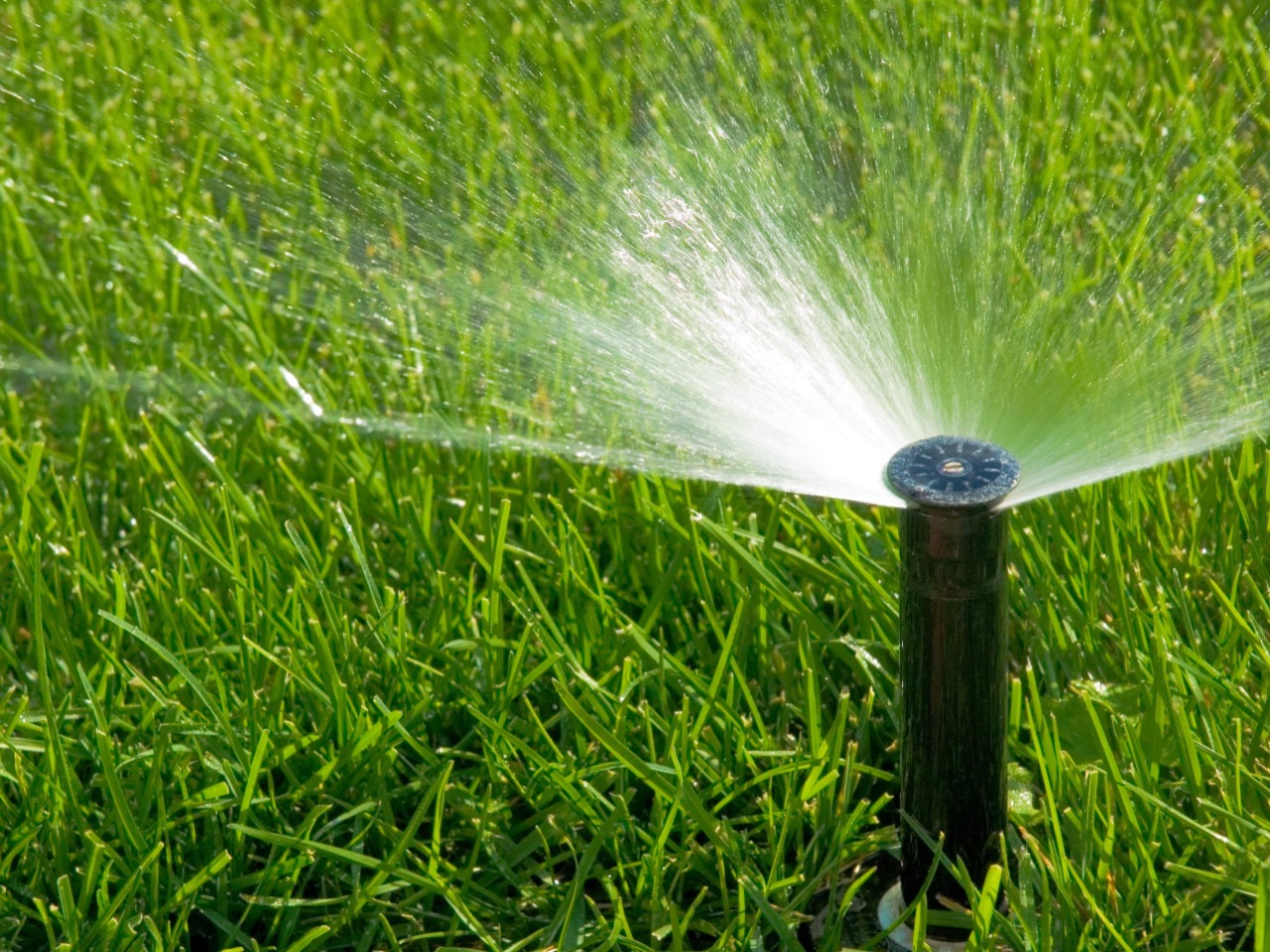 Impianti d'irrigazione su misura