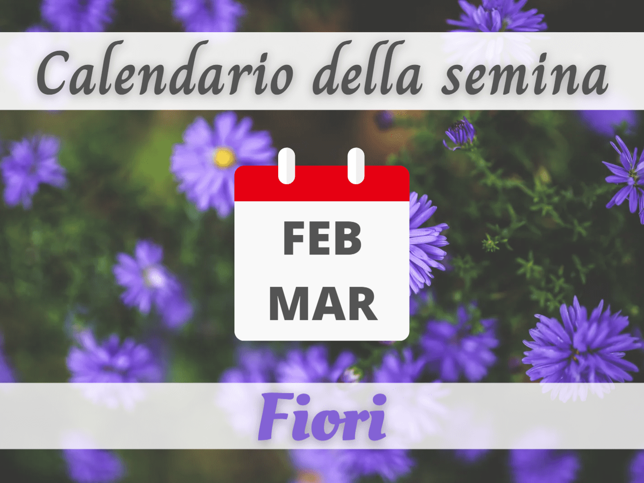  CALENDARIO DELLA SEMINA febbraio/marzo: FIORI