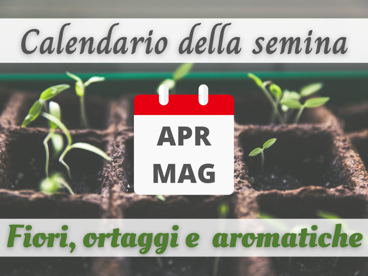 CALENDARIO DELLA SEMINA aprile/maggio: FIORI, ORTAGGI e PIANTE AROMATICHE